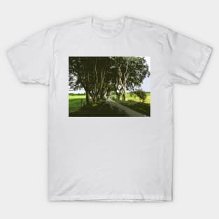 An Irish Country Road in the Rain T-Shirt